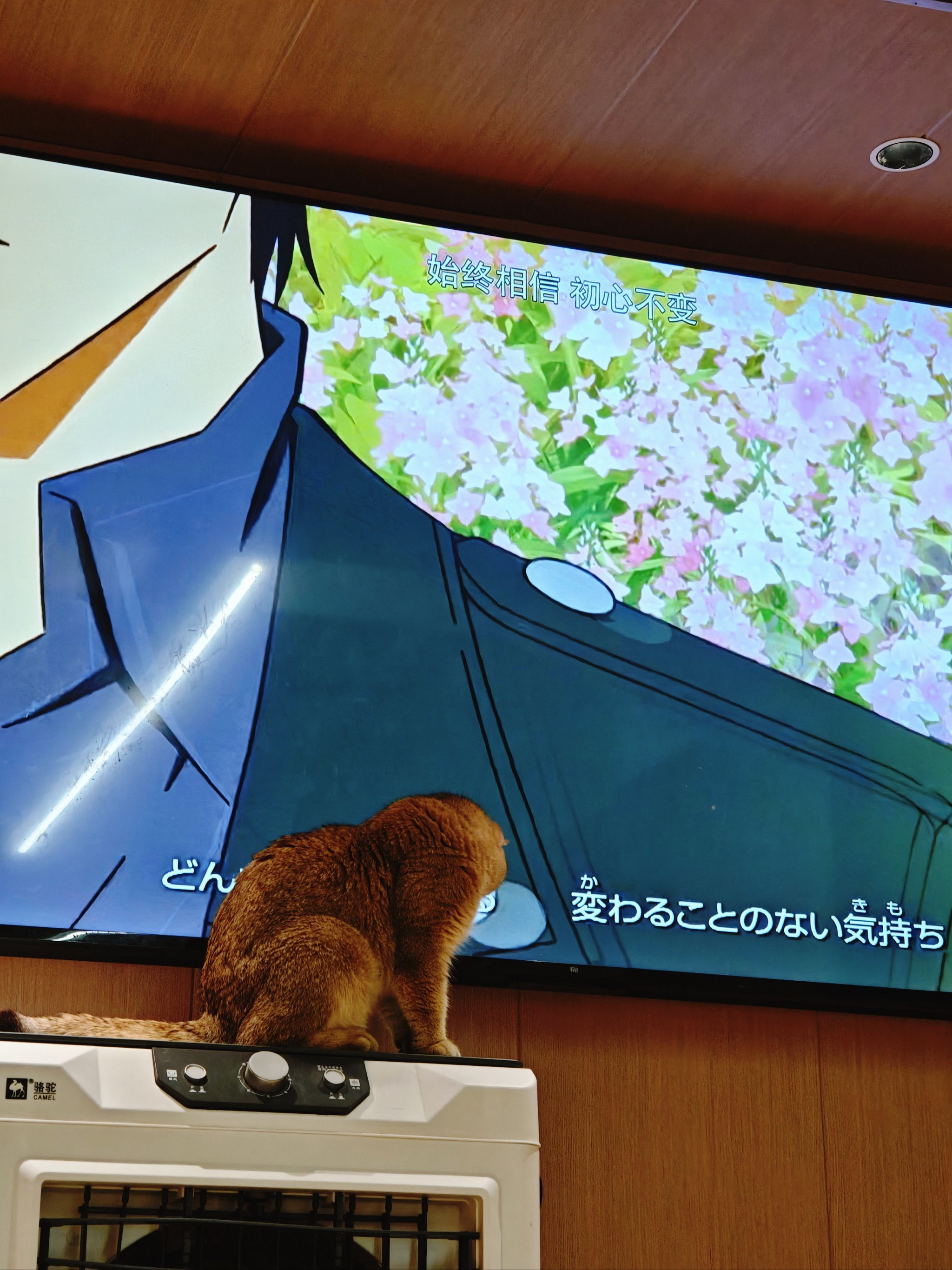 九游app下载-H組M詍譎S寵vO*?i>摻?0)p	鏦疒絾?浮痔??唾歲?	!橣???寳倠?o銛?轄(	?M=X?鳨P宏?{;k?x5?Z?嵐SF1??S闛卑l莀杶刔-九游app下载